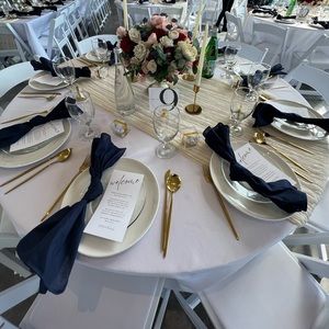 Navy Cotton Dinner Napkins (Set of 10)